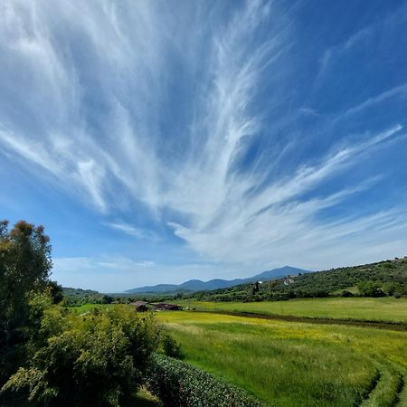 Agriturismo La Petrosa Ceraso Bagian luar foto
