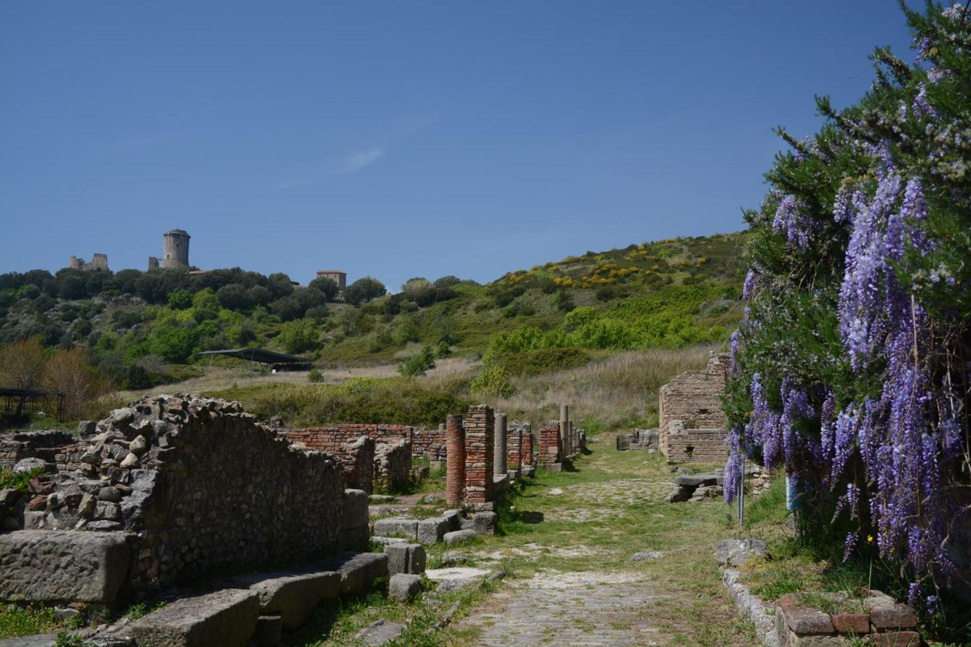 Agriturismo La Petrosa Ceraso Bagian luar foto