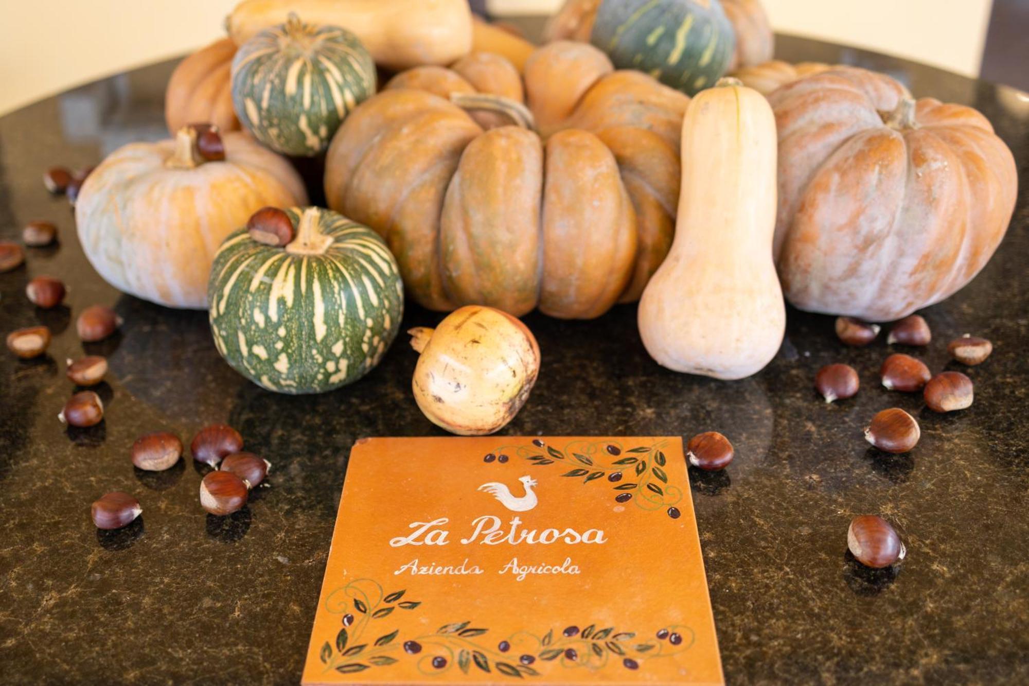 Agriturismo La Petrosa Ceraso Bagian luar foto