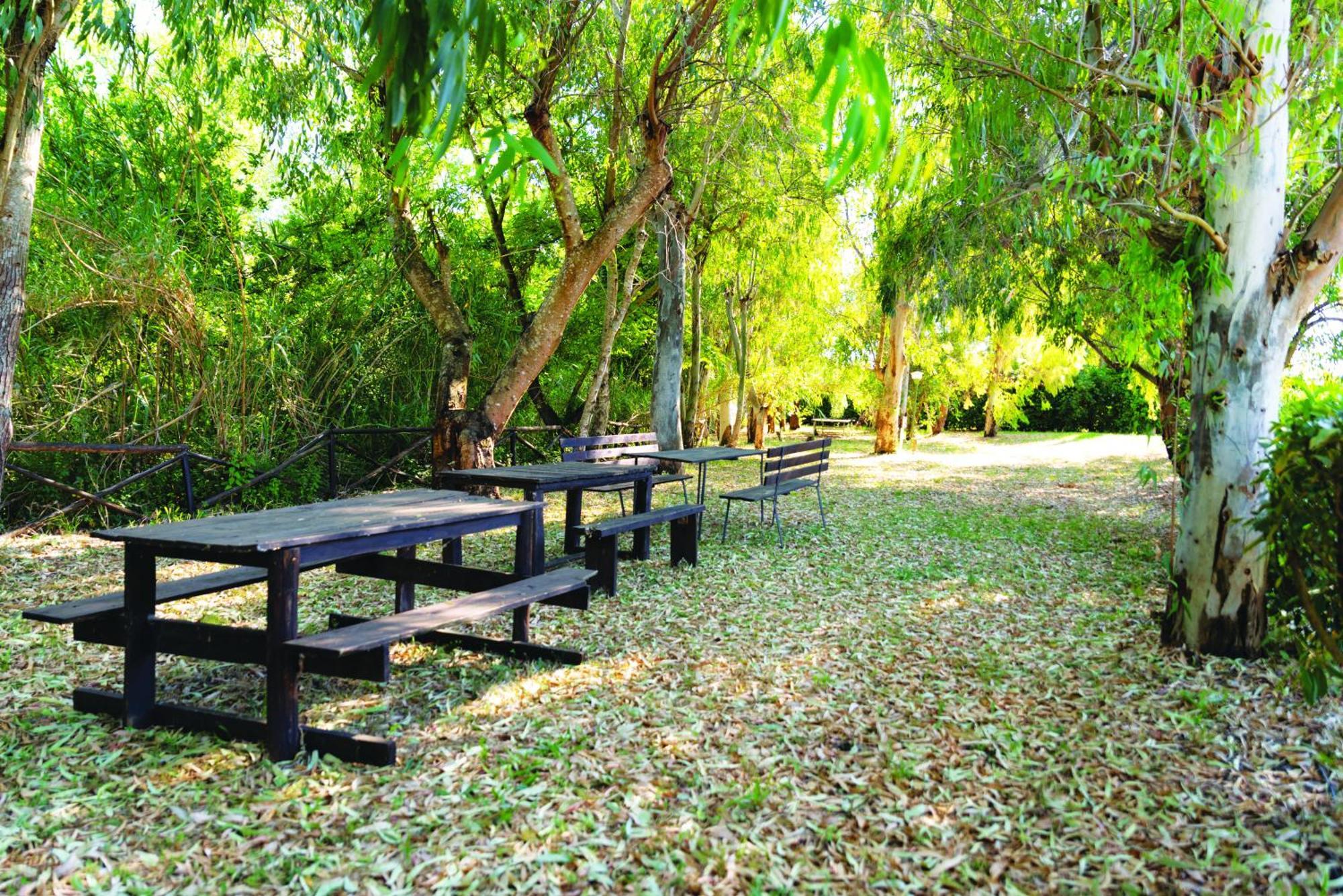Agriturismo La Petrosa Ceraso Bagian luar foto