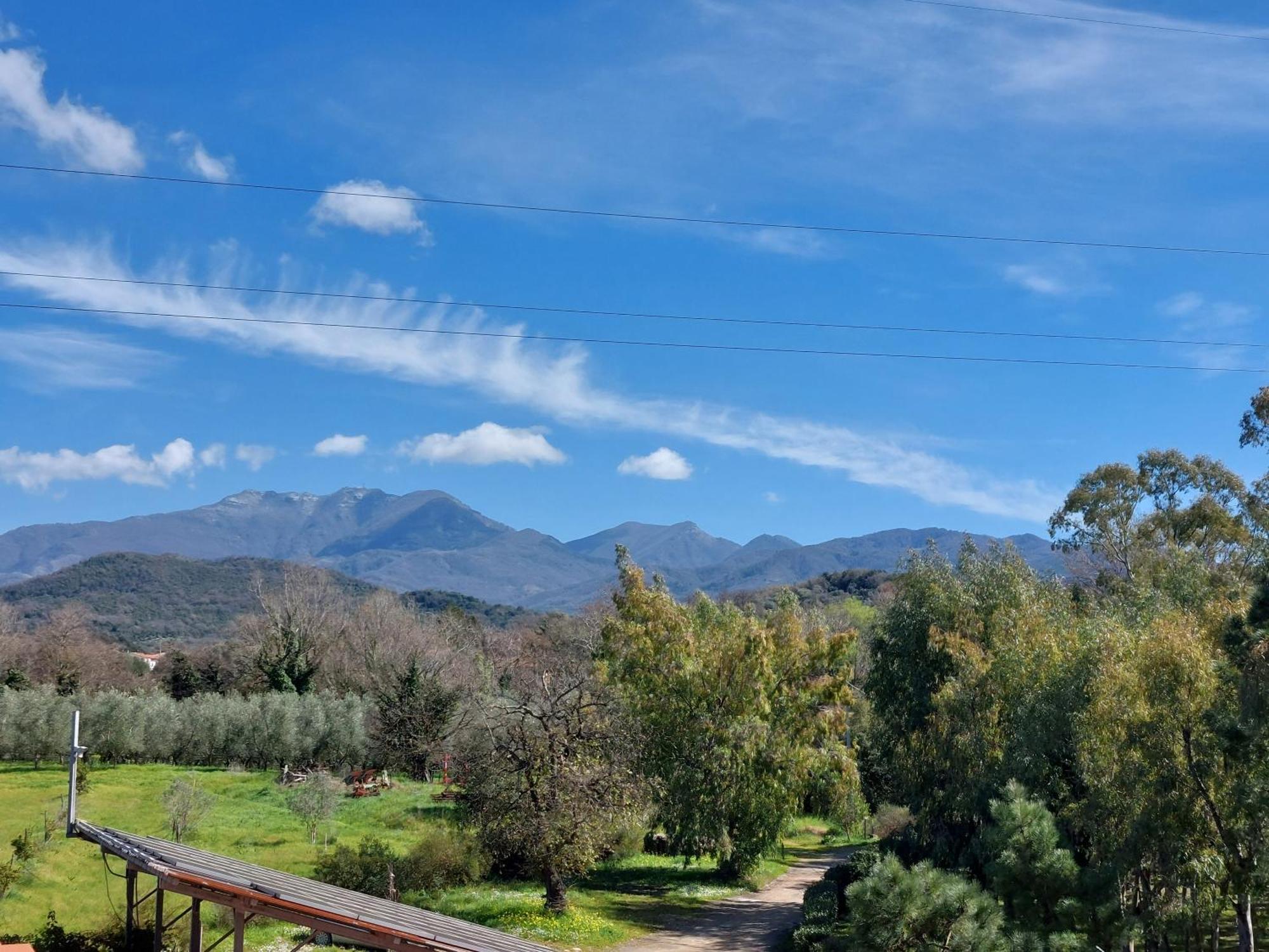 Agriturismo La Petrosa Ceraso Bagian luar foto